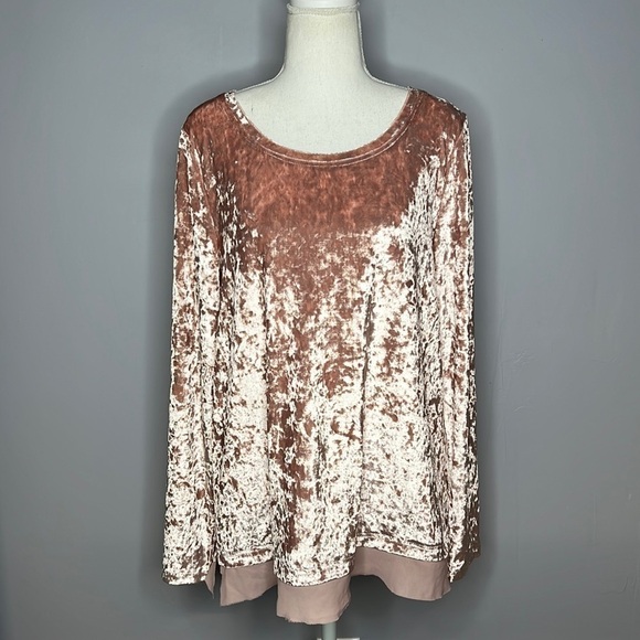JODIFL SMALL PINK VELVET SHIMMER LONG SLEEVED BLOUSE NWT - Picture 1 of 8